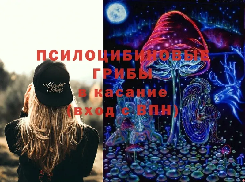 Галлюциногенные грибы Psilocybe Верхняя Пышма